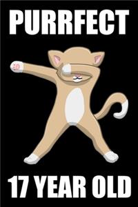 Purrfect 17 Year Old Dabbing Cat