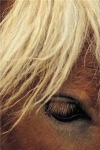 2020 Weekly Planner Horse Photo Equine Horse White Mane 134 Pages