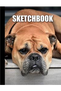 Sketchbook