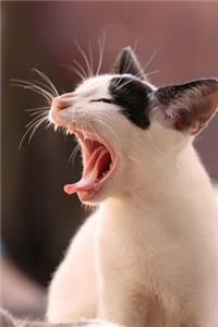 The Cat Who Had to Yawn Journal