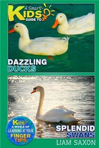 A Smart Kids Guide to Dazzling Ducks and Splendid Swans