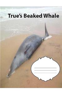 True's Beaked Whale Wide Ruled Line Paper Composition Book