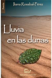 Lluvia en las dunas