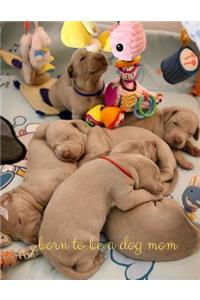 Born to Be a Dog Mom
