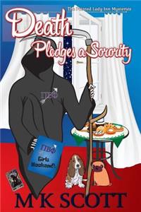 The Painted Lady Inn Mysteries