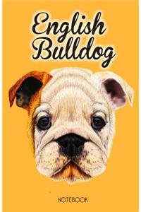 English Bulldog Notebook