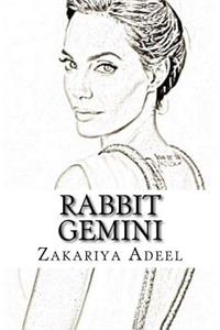 Rabbit Gemini
