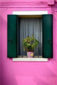 Cool Potted Plant in the Window in a Pink Wall Journal