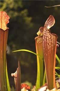Carnivorous Plants Notebook