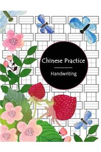 Handwriting Chinese Practice