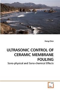 Ultrasonic Control of Ceramic Membrane Fouling