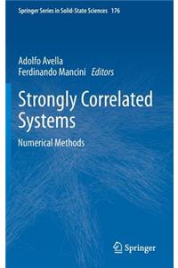 Strongly Correlated Systems