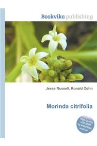 Morinda Citrifolia