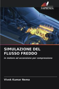 Simulazione del Flusso Freddo