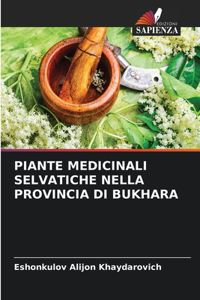 Piante Medicinali Selvatiche Nella Provincia Di Bukhara