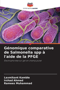 Génomique comparative de Salmonella spp à l'aide de la PFGE