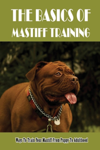 The Basics Of Mastiff Training