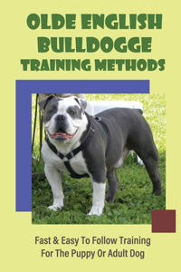 Olde English Bulldogge Training Methods