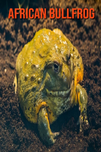 African Bullfrog