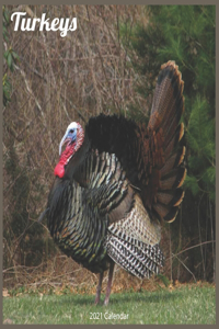 Turkeys 2021 Calendar