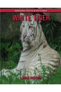 White Tiger