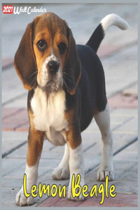 Lemon Beagle 2021 Wall Calendar