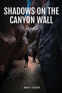 Shadows on the Canyon Wall