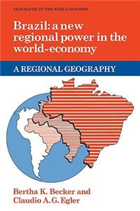 Brazil: A New Regional Power in the World Economy