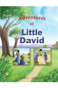 Adventures of Little David