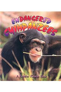 Endangered Chimpanzees