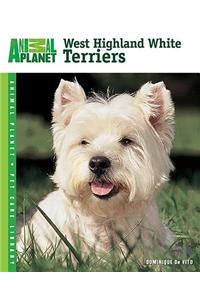 West Highland White Terriers