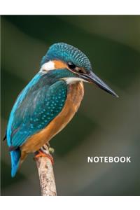 College Ruled Notebook: Kingfisher helpful Student Composition Book Daily Journal Diary Notepad for researching how to start birding