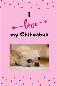 I love my Chihuaha