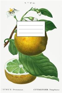 Designer Notizheft