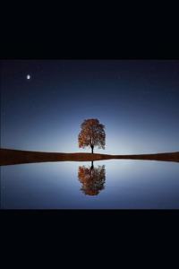 El Clamor del Silencio