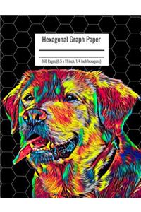 Hexagonal Graph Paper