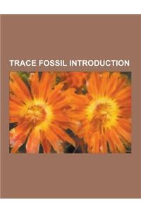 Trace Fossil Introduction
