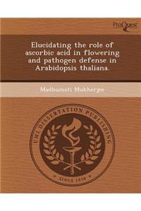 Elucidating the Role of Ascorbic Acid in Flowering and Pathogen Defense in Arabidopsis Thaliana