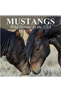 Mustangs - Wild Horses in the USA 2018