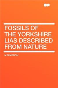 Fossils of the Yorkshire Lias Described from Nature