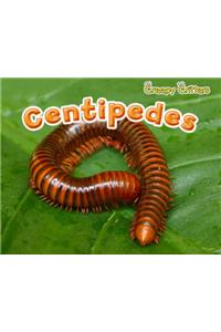 Centipedes