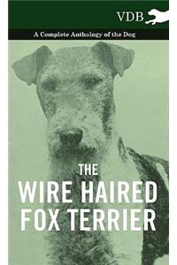 Wire Haired Fox Terrier - A Complete Anthology of the Dog