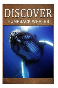 Humpback Whales - Discover