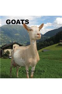 Goats Calendar 2016