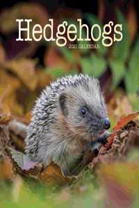 HEDGEHOGS SQUARE WALL CALENDAR 2021
