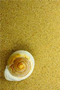 Snail Shell on a Florida beach Journal