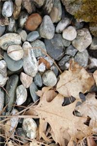 Journal Stones Rocks Dry Leaves