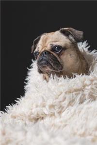Pug Puppy Dog Wrapped in a Blanket Journal