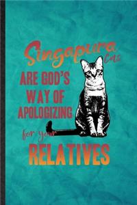 Singapura Cats Are God's Way of Apologizing for Your Relatives