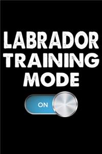 Labrador Training Mode On